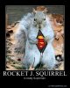 rocketjsquirrel.jpg