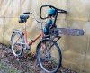 Chain Saw Motor Bike.jpg