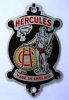 HerculesHeadbadge-02.jpg