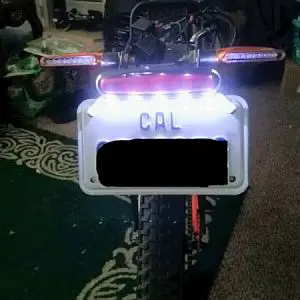 License plate light