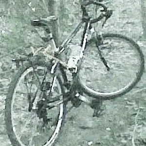 psychocross bike 2