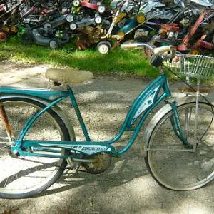 newest bicycle of celticlady ..