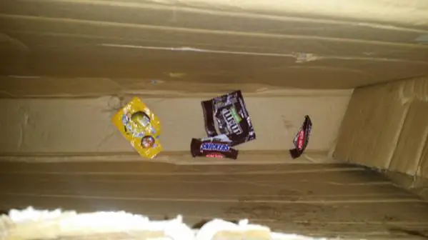 Fiends! After beating the box to within an inch of its holdability  they clearly ate all the candy Labrat was trying to send me and put the wrappers b