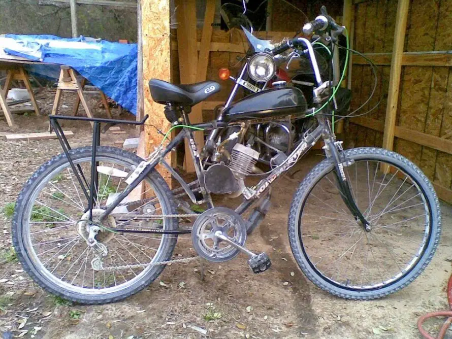 Old+Blacky+1-2-28-2012.jpg