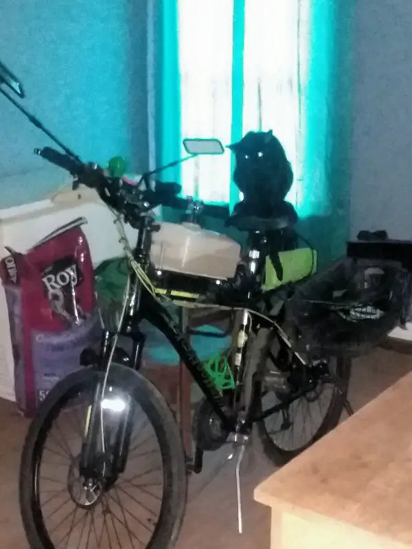 20210621_133347.jpg