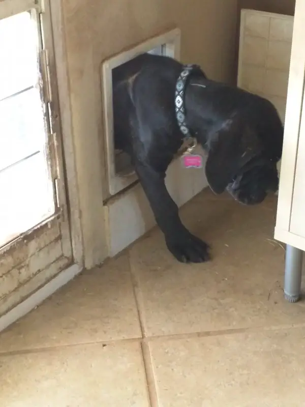 8-21-19 002.jpg 8-21-19 002.jpg