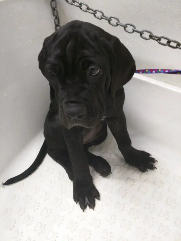 8-9-19 006.jpg 8-9-19 006.jpg