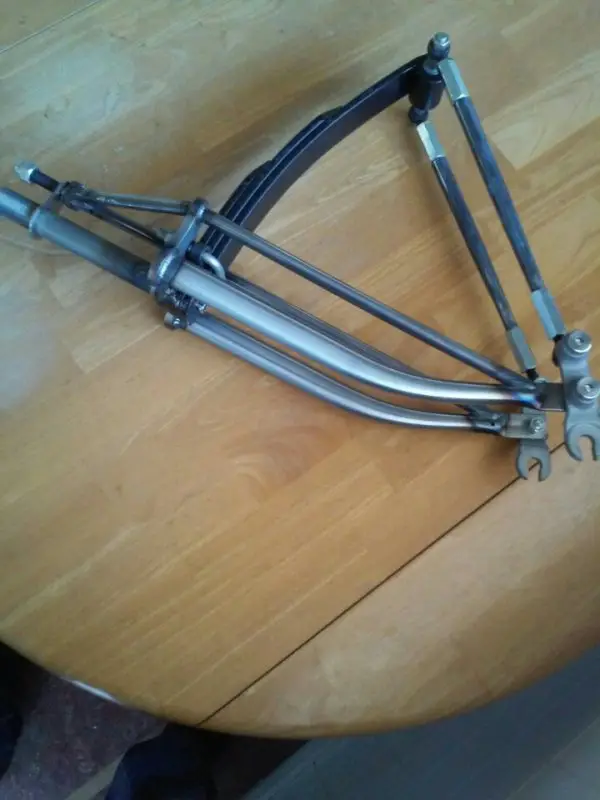 An indian leaf fork.jpg