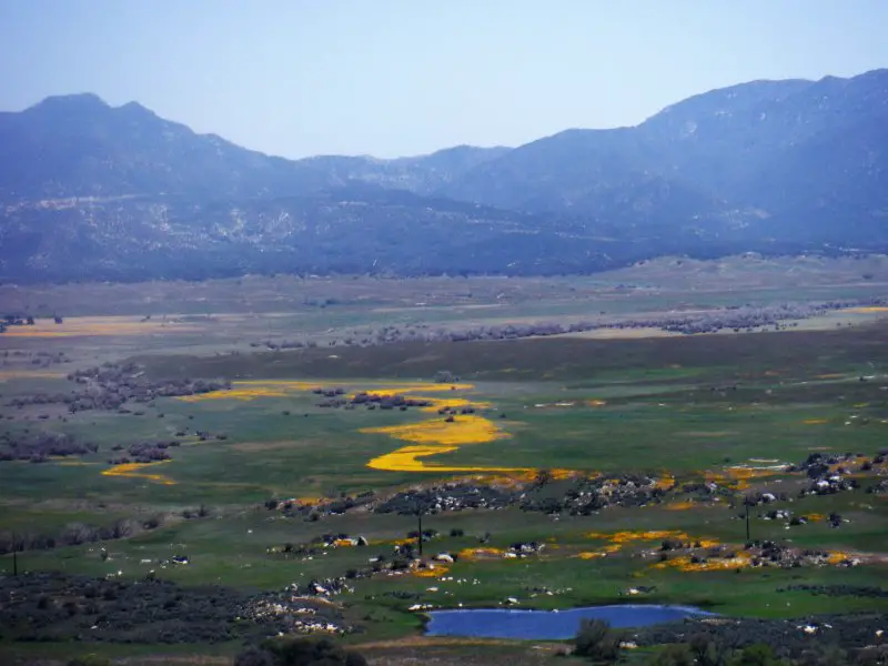 DSCF0910.JPG DSCF0910.JPG