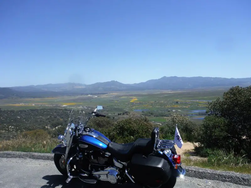 DSCF0913.JPG DSCF0913.JPG