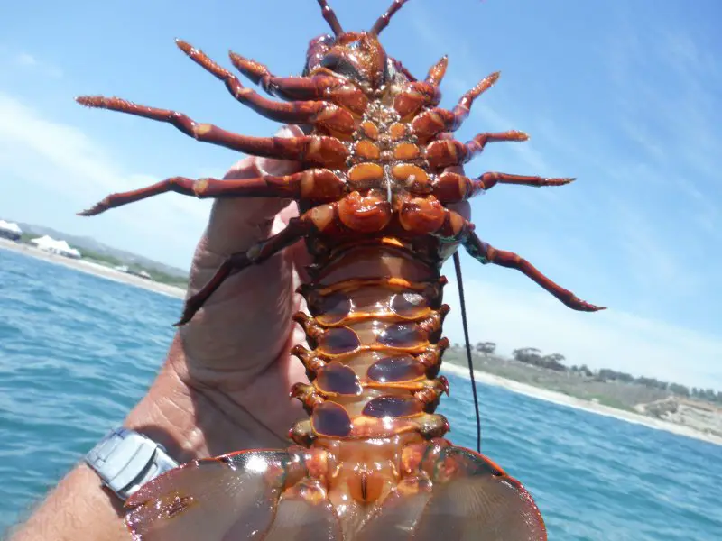 DSCF2578.JPG
