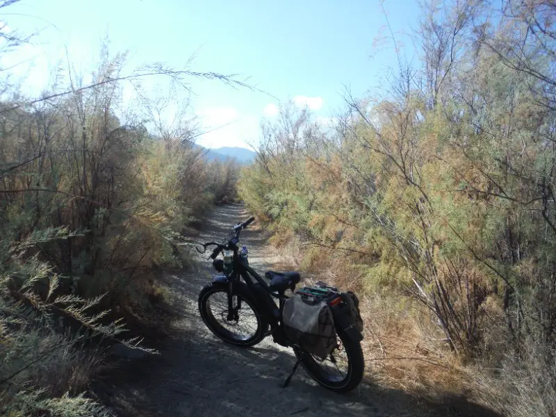 DSCF2807.JPG