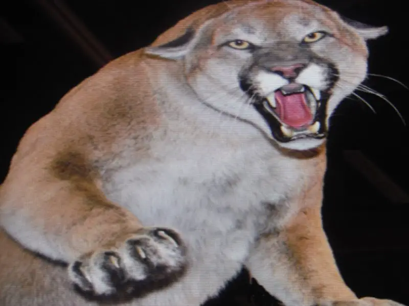DSCF3999.JPG