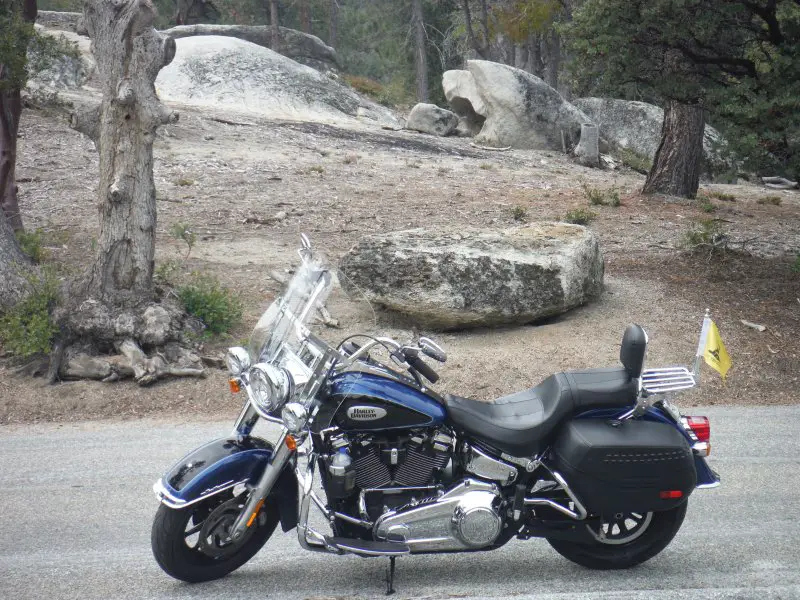 DSCF4133.JPG DSCF4133.JPG