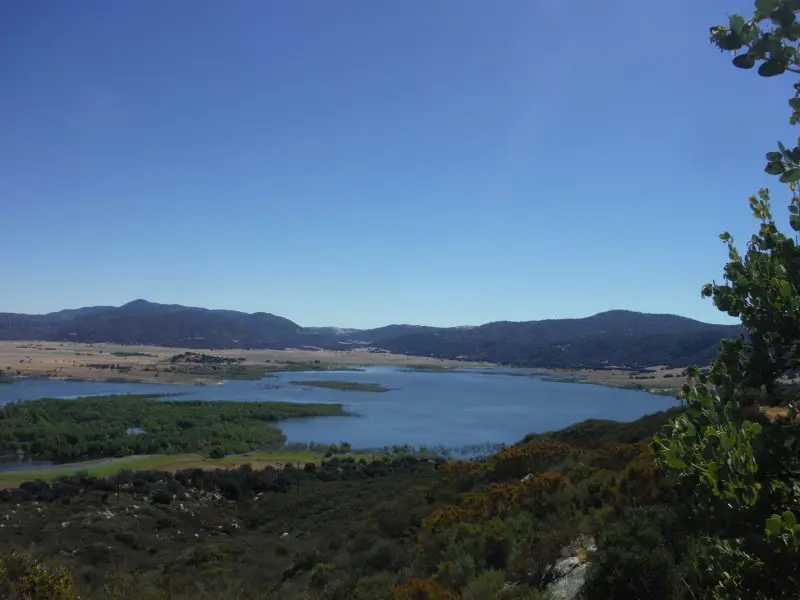 DSCF5358.JPG DSCF5358.JPG