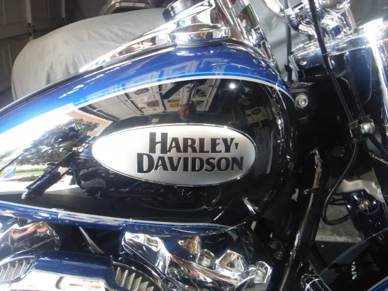 DSCF8568.JPG
