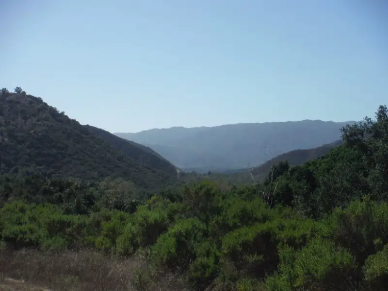 DSCF8591.JPG
