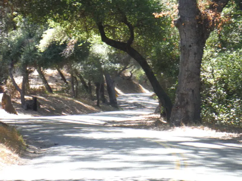 DSCF8595.JPG
