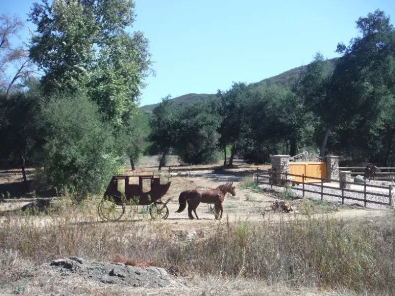 DSCF8596.JPG