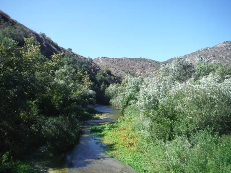 DSCF8604.JPG