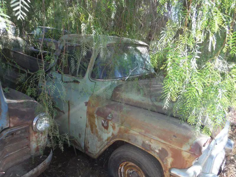 DSCF8951.JPG