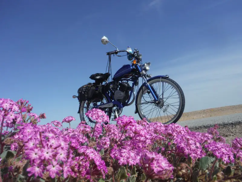 DSCF9679.JPG
