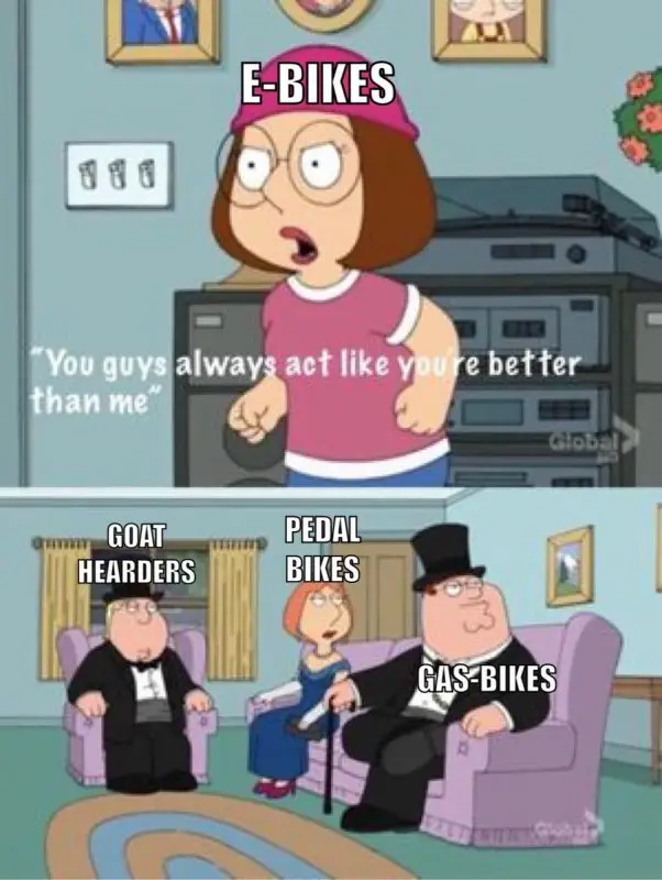 e-bike meme.jpg