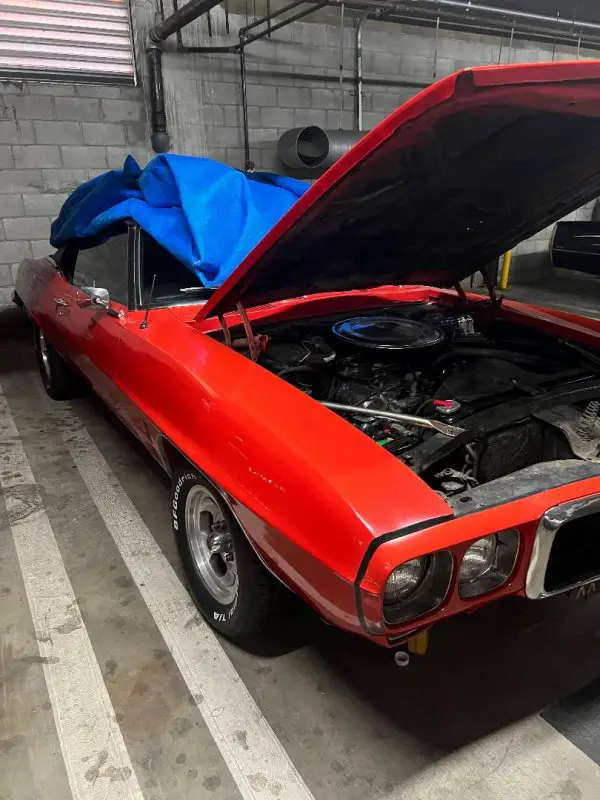 firebird trunk3.jpg firebird trunk3.jpg
