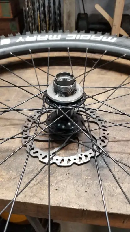 freewheel base.jpg
