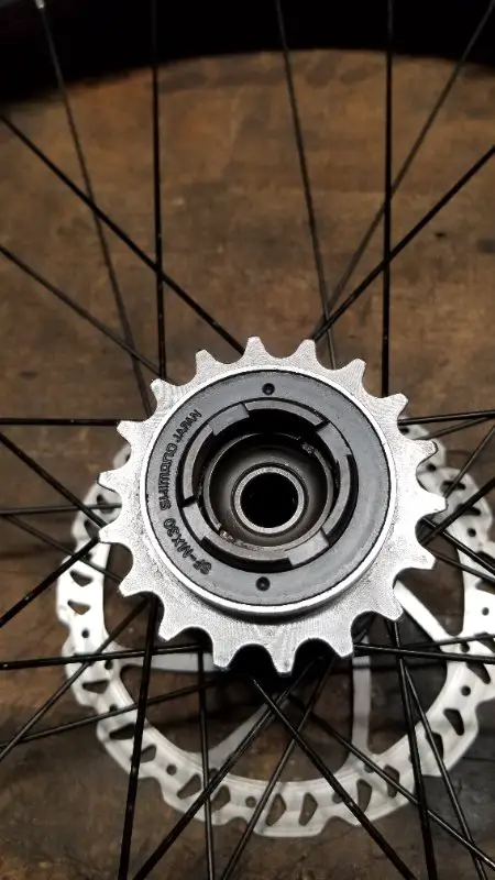 freewheel3.jpg