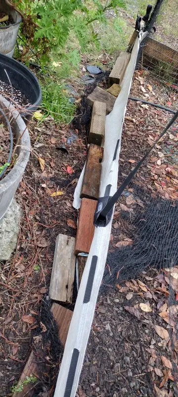 IMG_20231225_143609974_HDR.jpg