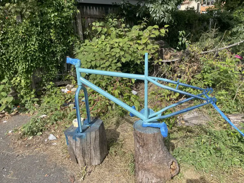 IMG_2141.jpeg