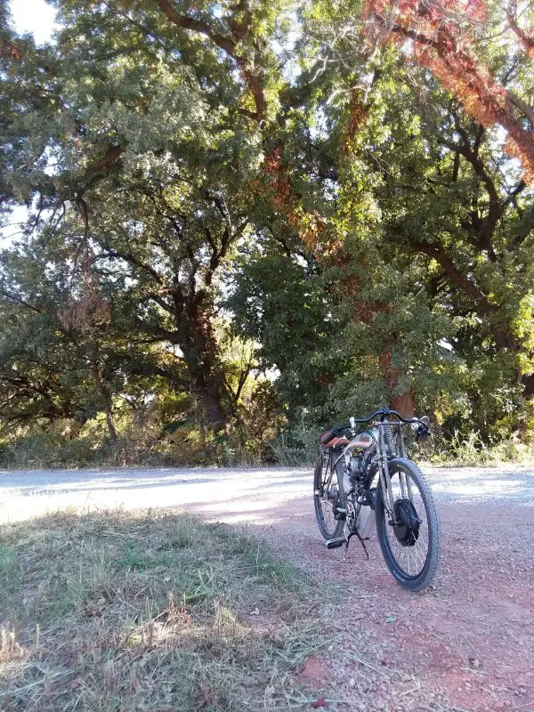 poison oak fall.jpg