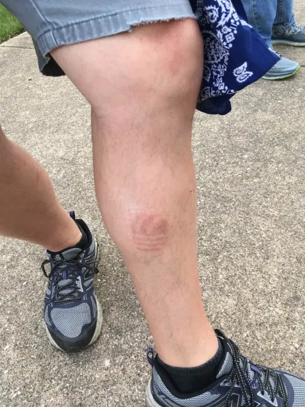 Screen Shot 2021-07-04 at 8.51.28 AM.png