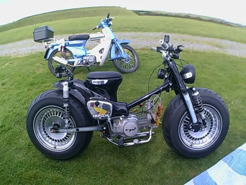 SUNP0225.JPG