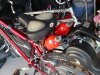 tn_PICT0042.JPG