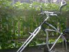 DSC01184-resize.JPG
