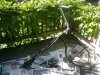 DSC01188-1.JPG