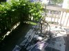 DSC01189-1.JPG