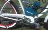 IMG00103-20090628-1111.jpg