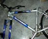 schwinn bike.jpg