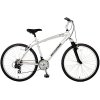 schwinn link.jpg