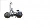 Chopper Bicycle Sept.2009-NO EFFECT.jpg