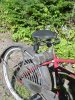 DSC02495.JPG