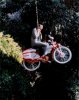 Pee-wees-Big-Adventure-Photograph-C12148281.jpg