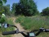 DSCF7704.JPG