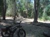 DSCF4846.JPG