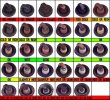 Spark plug color chart.jpg