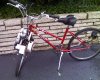 bikebug1 (Medium).jpg