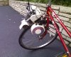 bikebug2 (Medium).jpg